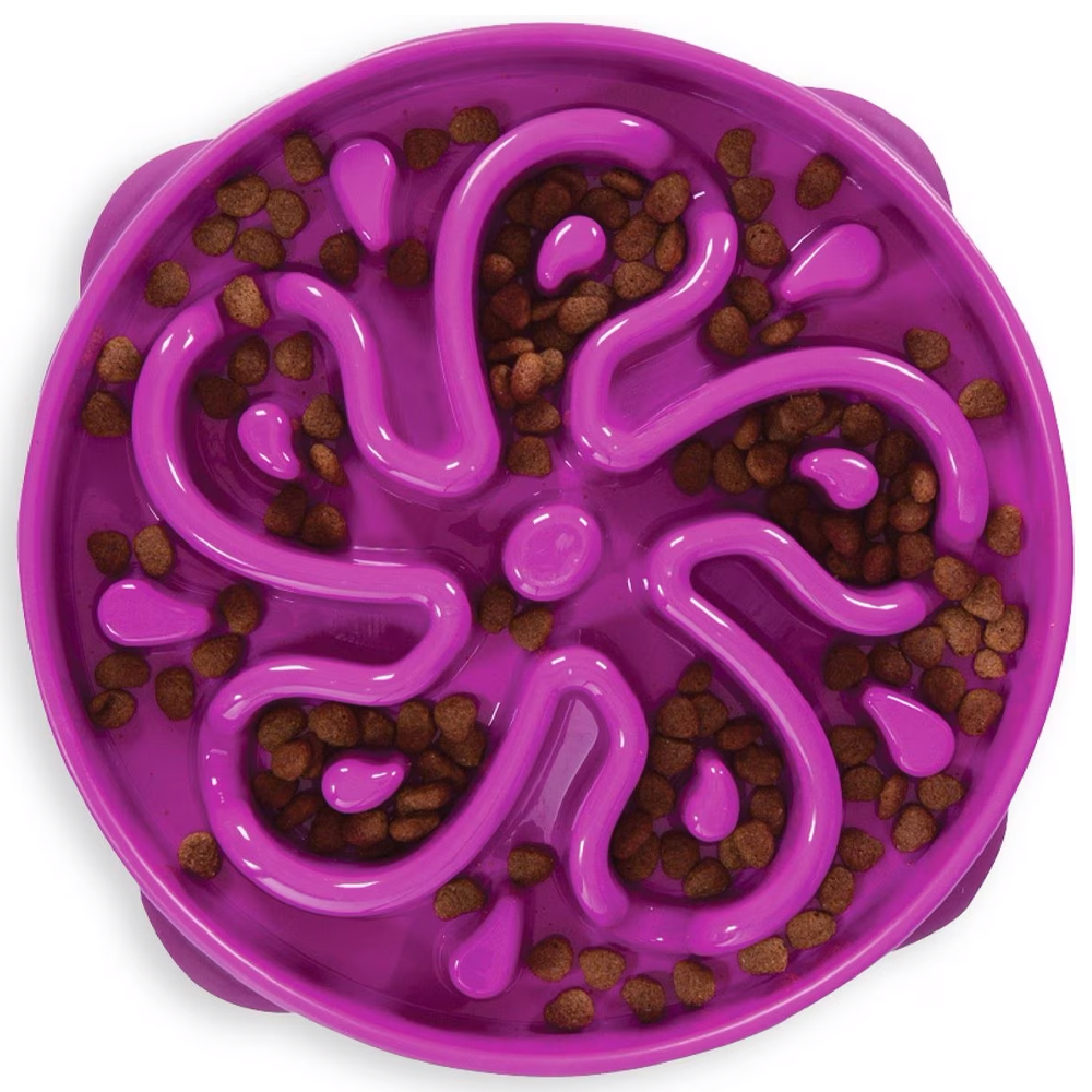 Outward Hound Fun Feeder Purple
