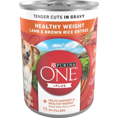 Purina ONE Tender Cuts in Gravy