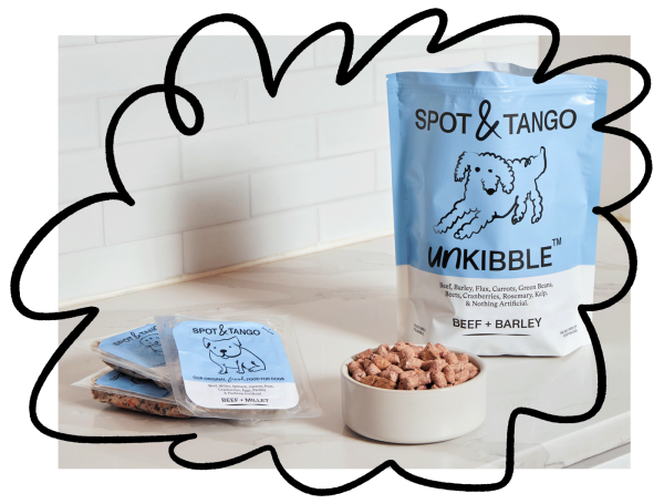 Spot & Tango Lifestyle 2_Doodle