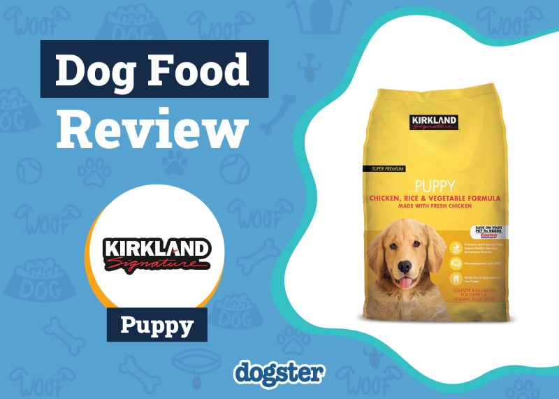 Dogster_Kirkland Signature Puppy Formula Dog Food Review