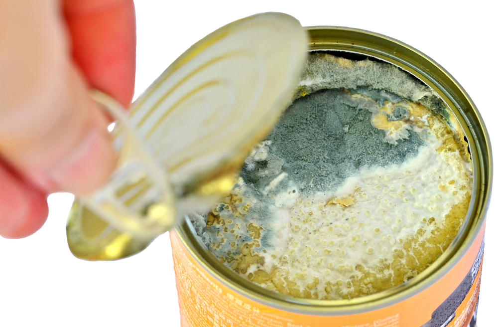 Mold in canned wet dog food
