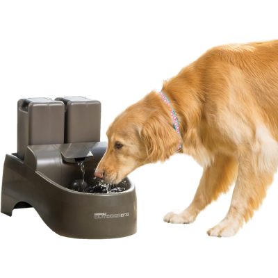 Drinkwell Outdoor Plastic Dog & Cat Fountain