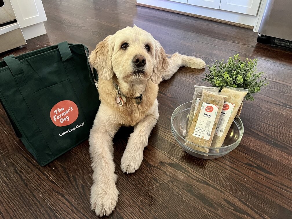 10 Best Canned and Wet Dog Food for Senior Dogs in 2022 