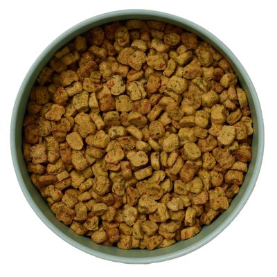 Ollie Baked Dog Food Subscription
