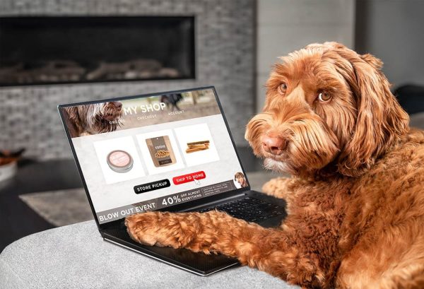 dog ordering food for delivery