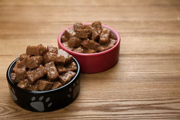 feeding bowls filled with wet food