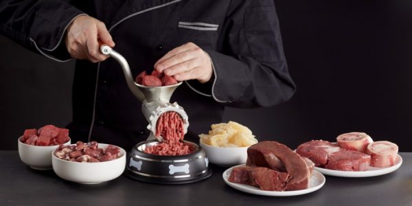 man preparing homemade dog food