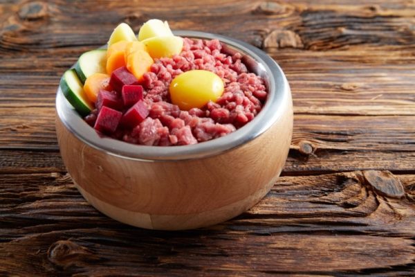 raw dog food