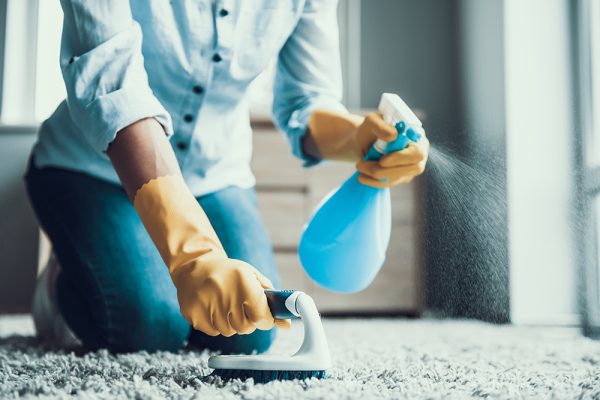 woman cleaning the carpet with brush and spray