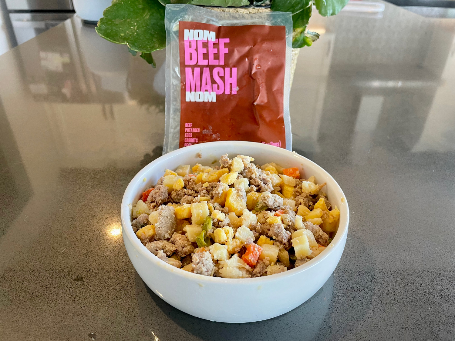 Nom Nom Subscription Dog Food - beef mash