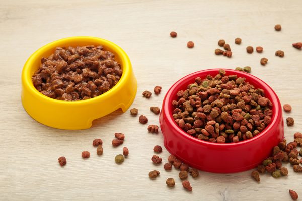dry and wet food in feeding bowls