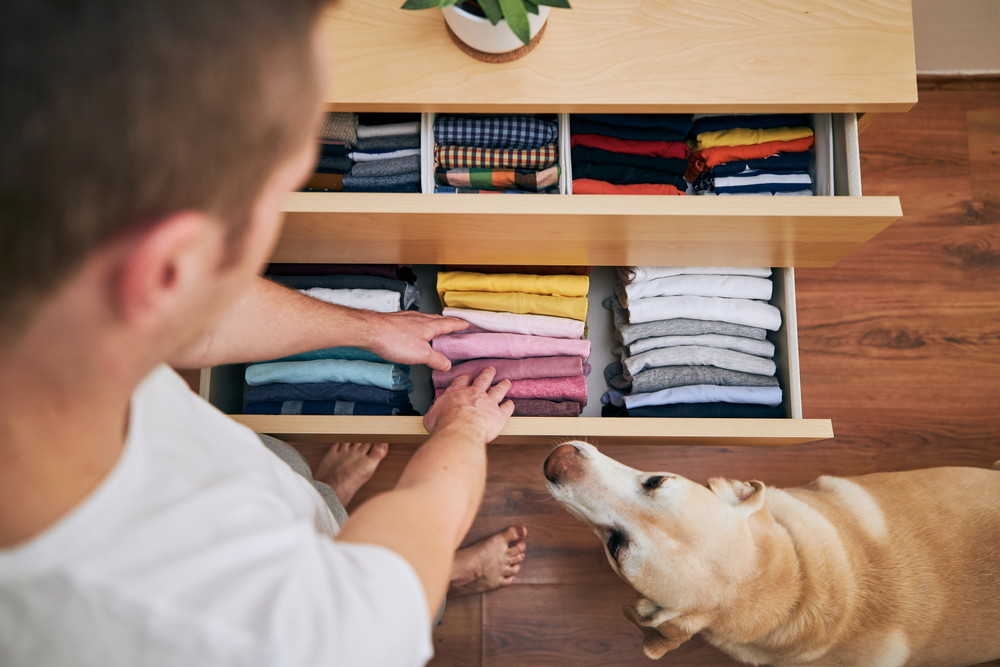 man organizing clothes and dog looking at it