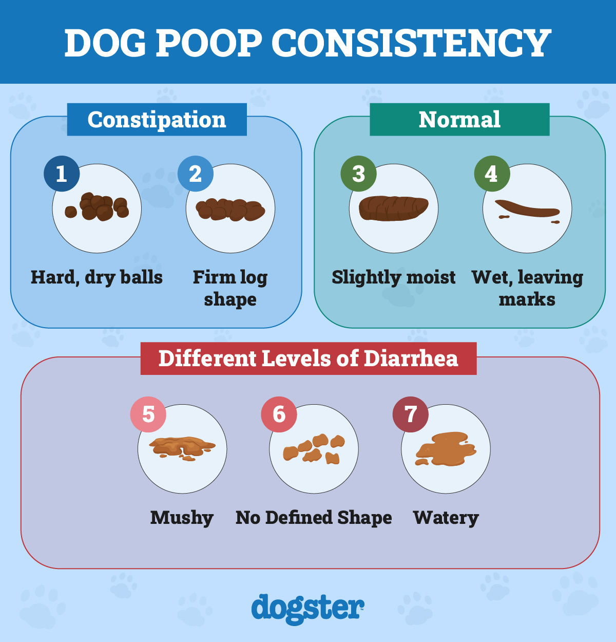 dog poop consistency chart