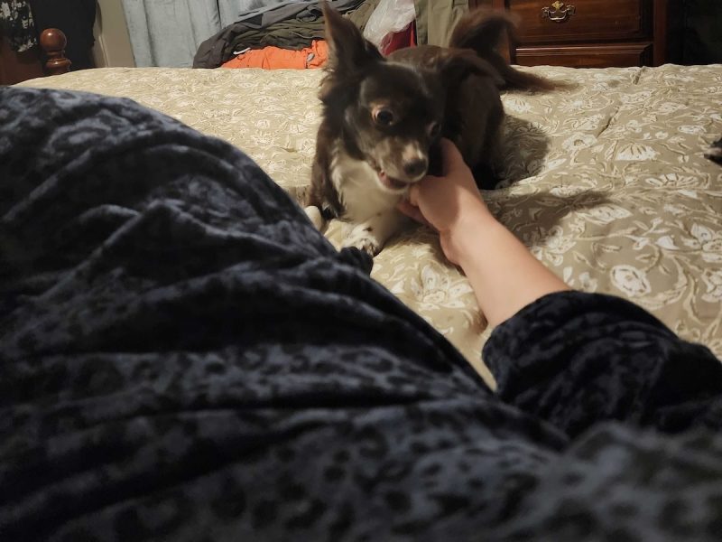 Hey, wake up!