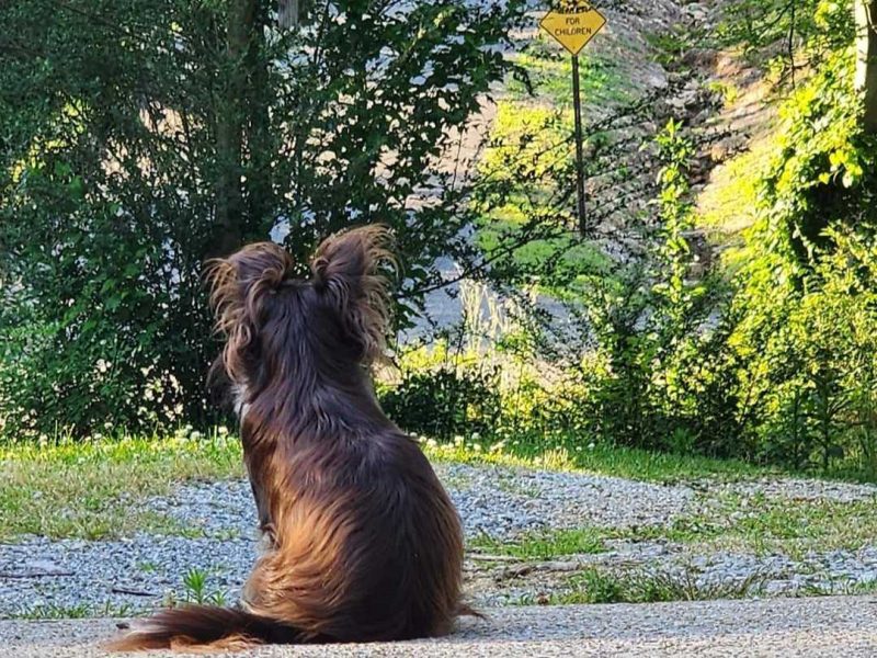 "Porch" sitting