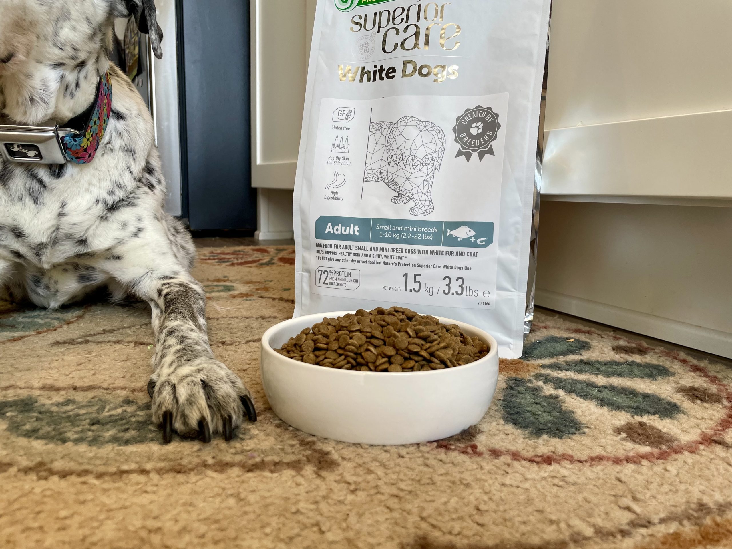 Superior Care White Dogs Grain-Free Small Breed Dog Food Review 2026_ Our Expert’s Opinion 3