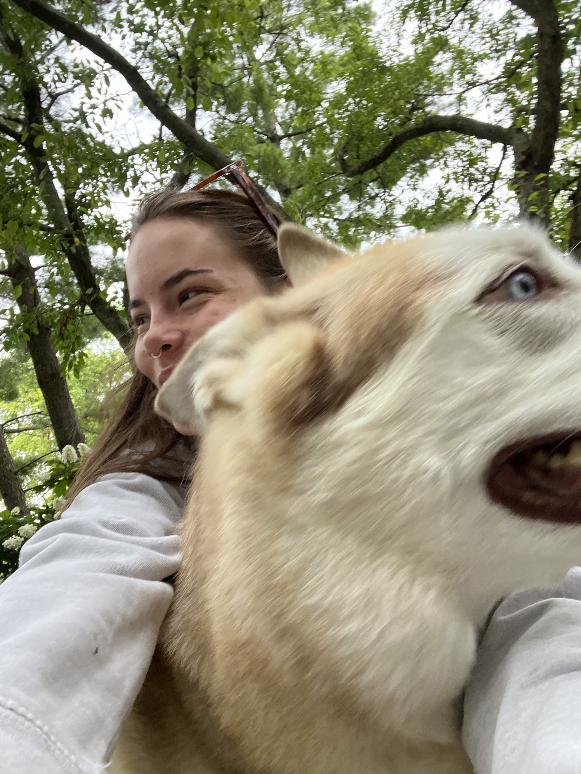 The Organization Helping Pets Feel Safer, Happier, and ‘Fear Free’ - Heroes of the Pet World 1