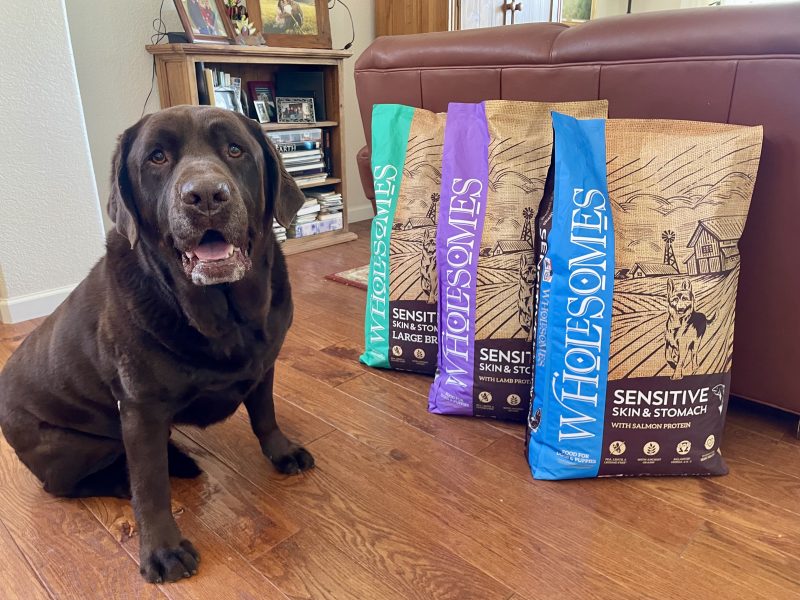 Wholesomes Dog Food Sensitive Skin & Stomach Review 2026_ Our Expert’s Opinion 17